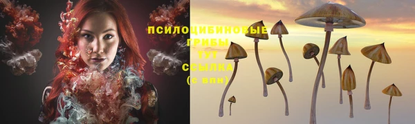 метамфетамин Алексеевка