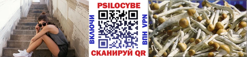 KRAKEN ССЫЛКА  Ардатов  Псилоцибиновые грибы Psilocybe  купить наркоту 